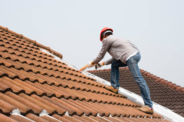 Professional Roofing servicies in Wilsonville, AL